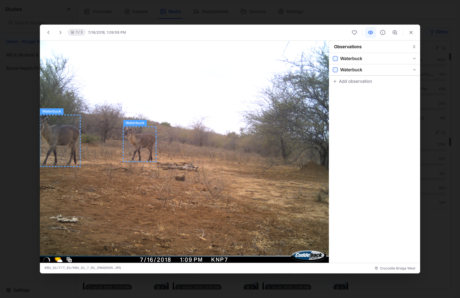 Gallery viewer