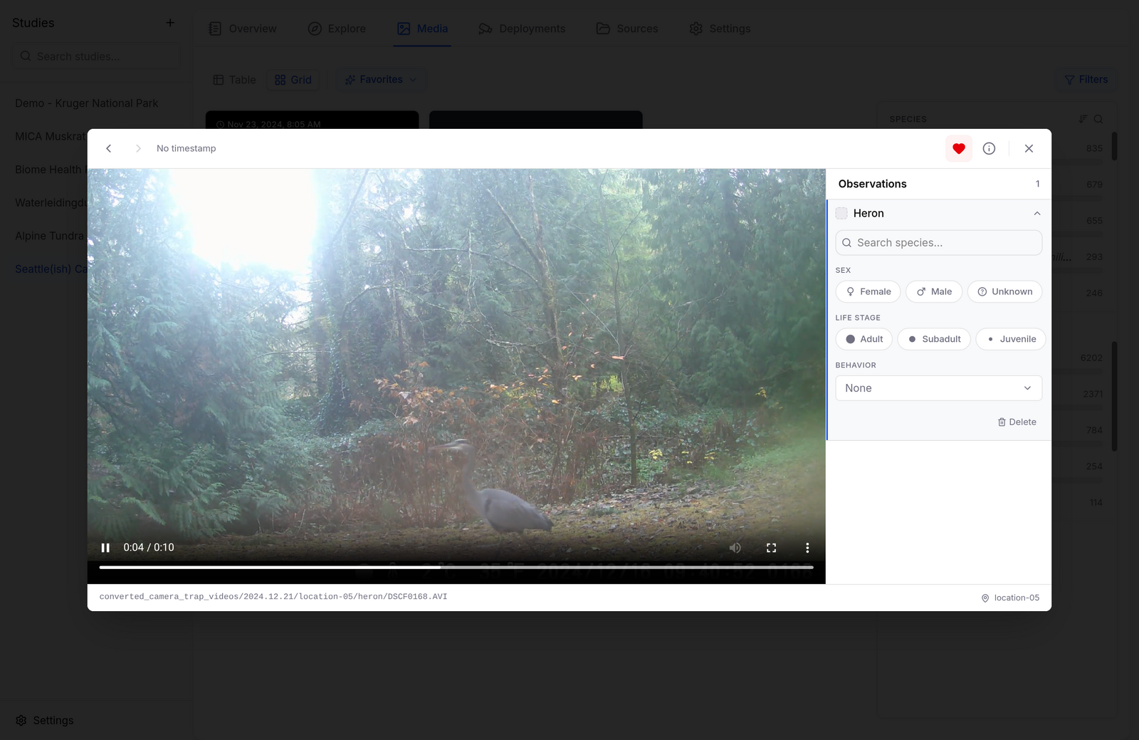 Video player