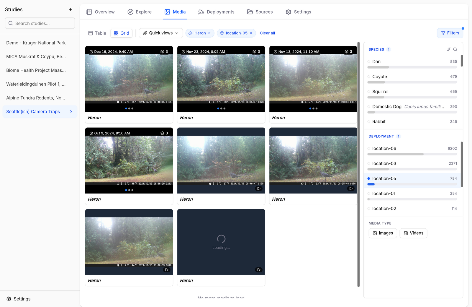 Video grid